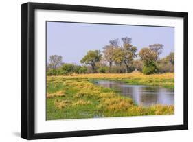 Botswana. Okavango Delta. Khwai Concession. Riparian Forest-Inger Hogstrom-Framed Photographic Print