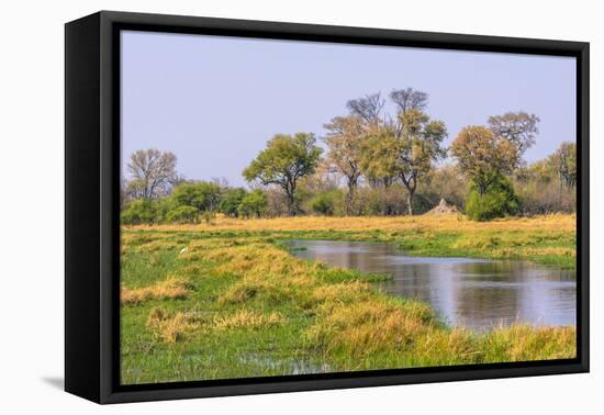 Botswana. Okavango Delta. Khwai Concession. Riparian Forest-Inger Hogstrom-Framed Stretched Canvas