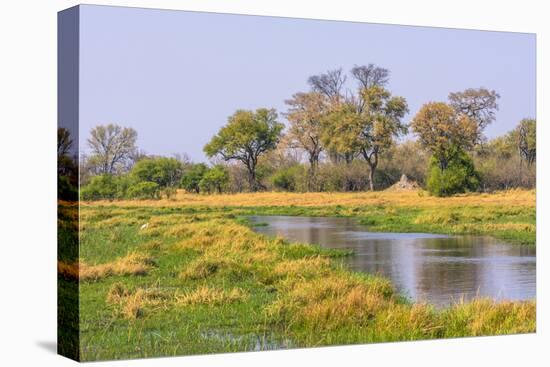 Botswana. Okavango Delta. Khwai Concession. Riparian Forest-Inger Hogstrom-Stretched Canvas