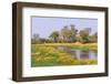 Botswana. Okavango Delta. Khwai Concession. Riparian Forest-Inger Hogstrom-Framed Photographic Print