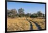 Botswana. Okavango Delta. Khwai Concession. Safari Vehicle Tracks Snake Though the Bush-Inger Hogstrom-Framed Photographic Print