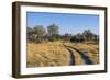 Botswana. Okavango Delta. Khwai Concession. Safari Vehicle Tracks Snake Though the Bush-Inger Hogstrom-Framed Photographic Print