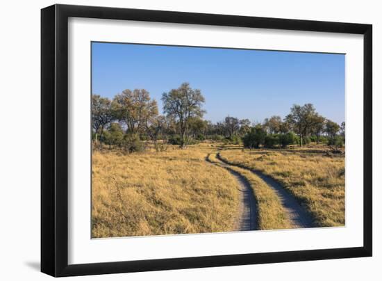 Botswana. Okavango Delta. Khwai Concession. Safari Vehicle Tracks Snake Though the Bush-Inger Hogstrom-Framed Photographic Print