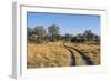 Botswana. Okavango Delta. Khwai Concession. Safari Vehicle Tracks Snake Though the Bush-Inger Hogstrom-Framed Photographic Print