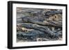 Botswana. Okavango Delta. Khwai Concession. Young Female Leopard Resting under a Log-Inger Hogstrom-Framed Photographic Print