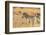 Botswana. Okavango Delta. Khwai Concession-Inger Hogstrom-Framed Photographic Print