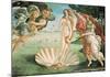 Botticelli- Nascita Di Venere (Birth Of Venus)-Sandro Botticelli-Mounted Poster