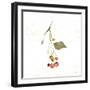 Botticelli Plants III-Kristy Rice-Framed Art Print