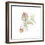 Botticelli Plants V-Kristy Rice-Framed Art Print