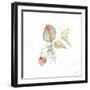 Botticelli Plants V-Kristy Rice-Framed Art Print