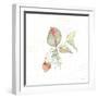 Botticelli Plants V-Kristy Rice-Framed Art Print