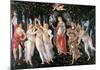 Botticelli- Primavera-Sandro Botticelli-Mounted Poster