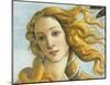 Botticelli (The Birth of Venus, Detail) Art Poster Print-null-Mounted Poster