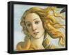 Botticelli (The Birth of Venus, Detail) Art Poster Print-null-Framed Poster