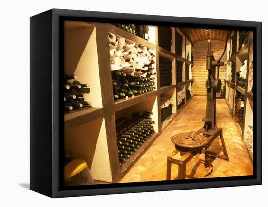 Bottle Aging Cellar, Bodega Pisano Winery, Progreso, Uruguay-Per Karlsson-Framed Stretched Canvas