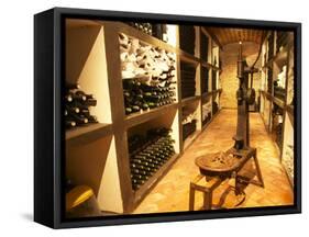 Bottle Aging Cellar, Bodega Pisano Winery, Progreso, Uruguay-Per Karlsson-Framed Stretched Canvas