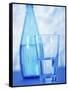 Bottle and glass of water-null-Framed Stretched Canvas