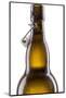 Bottle Beer-Fabio Petroni-Mounted Photographic Print