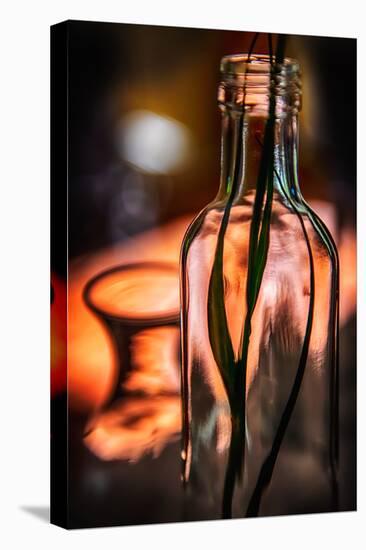 Bottle by the Window-Ursula Abresch-Stretched Canvas