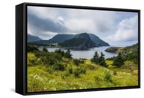 Bottle Cove Near Corner Brook, Newfoundland, Canada, North America-Michael Runkel-Framed Stretched Canvas