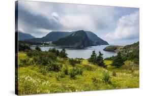 Bottle Cove Near Corner Brook, Newfoundland, Canada, North America-Michael Runkel-Stretched Canvas