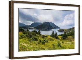 Bottle Cove Near Corner Brook, Newfoundland, Canada, North America-Michael Runkel-Framed Photographic Print