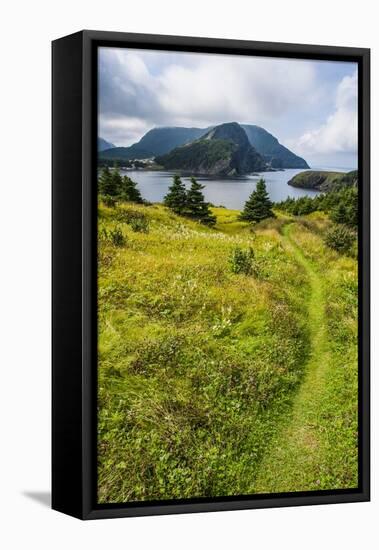 Bottle Cove Near Corner Brook, Newfoundland, Canada, North America-Michael Runkel-Framed Stretched Canvas