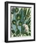 Bottle Glass Garden II-June Vess-Framed Art Print