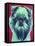 Bottle Green Brussels Griffon-Dawgart-Framed Stretched Canvas