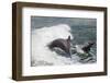 Bottle Nose Dolphin-Lynn M^ Stone-Framed Photographic Print