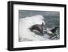 Bottle Nose Dolphin-Lynn M^ Stone-Framed Photographic Print