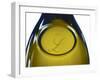 Bottle of Baron De L Pouilly Fume, Chateau Du Nozet De Ladoucette, Pouilly Sur Loire-Per Karlsson-Framed Photographic Print