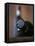 Bottle of Port Wine-Henrik Freek-Framed Stretched Canvas