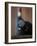 Bottle of Port Wine-Henrik Freek-Framed Photographic Print