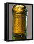 Bottle of Pouilly Fume Silex, Loire Valley, France-Per Karlsson-Framed Stretched Canvas