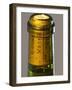 Bottle of Pouilly Fume Silex, Loire Valley, France-Per Karlsson-Framed Photographic Print