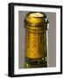 Bottle of Pouilly Fume Silex, Loire Valley, France-Per Karlsson-Framed Photographic Print