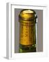 Bottle of Pouilly Fume Silex, Loire Valley, France-Per Karlsson-Framed Photographic Print