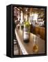 Bottle of Ricard 45 Pastis and Glass on Zinc Bar, Paris, France-Per Karlsson-Framed Stretched Canvas