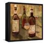 Bottle of Wine I-Elizabeth Medley-Framed Stretched Canvas