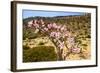 Bottle Tree in Bloom (Adenium Obesum), Endemic Tree of Socotra, Homil Protected Area-Michael Runkel-Framed Photographic Print