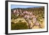 Bottle Tree in Bloom (Adenium Obesum), Endemic Tree of Socotra, Homil Protected Area-Michael Runkel-Framed Photographic Print