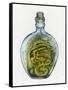 Bottled Dragon-Wayne Anderson-Framed Stretched Canvas