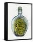 Bottled Dragon-Wayne Anderson-Framed Stretched Canvas