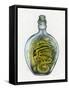 Bottled Dragon-Wayne Anderson-Framed Stretched Canvas
