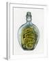 Bottled Dragon-Wayne Anderson-Framed Giclee Print