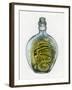 Bottled Dragon-Wayne Anderson-Framed Giclee Print