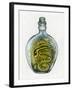 Bottled Dragon-Wayne Anderson-Framed Giclee Print