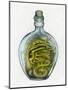 Bottled Dragon-Wayne Anderson-Mounted Premium Giclee Print