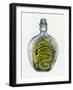 Bottled Dragon-Wayne Anderson-Framed Giclee Print